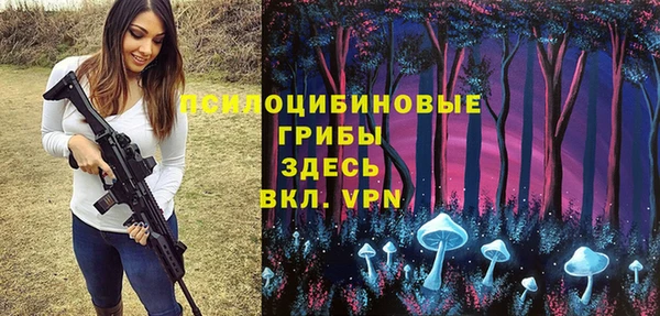 спиды Алексеевка