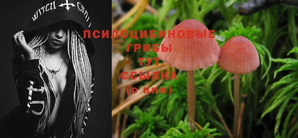 спиды Алексеевка