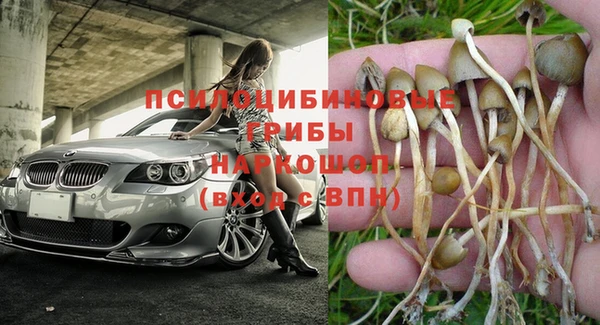 скорость Алзамай