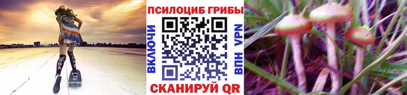 купить наркоту  Ковылкино  Галлюциногенные грибы Magic Shrooms 